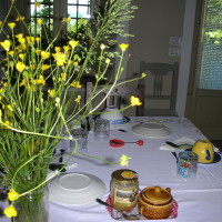 Colazione in cucina