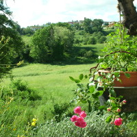 Vista di Tavoleto