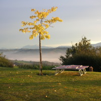 Particolare Giardino