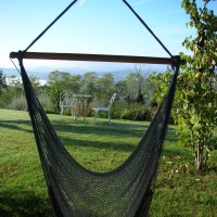 Particolare giardino