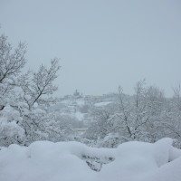 Paesaggio invernale