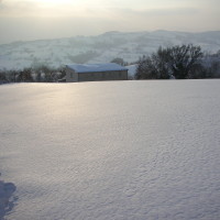 Paesaggio invernale