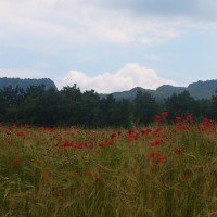 Carpegna