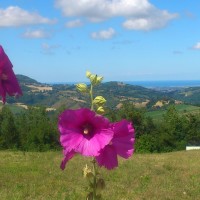 Panorama lato mare