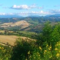 Panorama lato colline