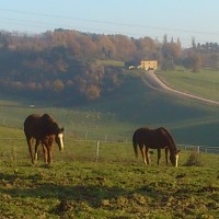 La campagna