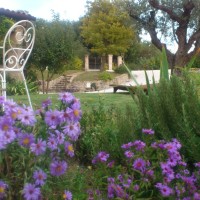 Il giardino