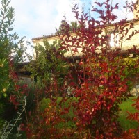 colori d'autunno