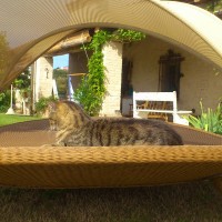 Relax