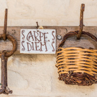 Dettaglio